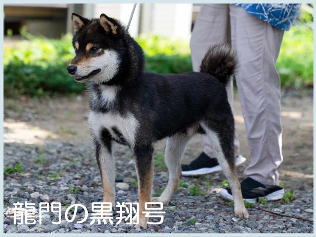 Father